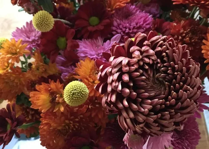 The Monica 5* Ærøskøbing